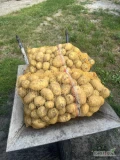 Sprzedam ziemniaki 