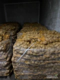  Sprzedam ziemniaka Vinieta ładne zdrowe + 45 pakowane wszyty worek po 15 kg ilości hurtowe .gotowe 1200w. Gdańsk