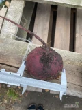 Sprzedam buraki czerwone okrągły na przemysł 5+
