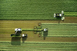 Przygotuj się na drugi pokos traw