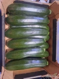 Sprzedam cukinie marketowa ilości paletowe