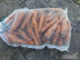 Mam na sprzedaż marchew szykowana pod klienta, brudna, lub może być też myta, worek 10-15 kg lub big bag, luz. Różny kaliber i...