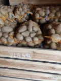 Do sprzedania posiadam ziemniaki jadalne Denar 46 worków, Tajfun 74 worki , Wineta 35 wirków. Ziemniaki ładne i zdrowe.