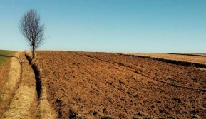 Brakuje pieniędzy na wapnowanie gleb