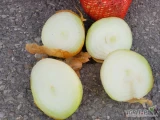 Cebula luz gruba Turcja- na obieranie -świeża dostawa Warszawa