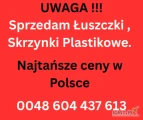 Sprzedam duży asortyment skrzynek ładunki cało samochodowe