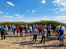 PROjekt Kukurydza. Firma Osadkowski prezentuje rekomendowane odmiany i sprawdzoną technologię