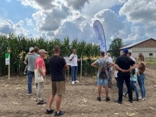 Wystartowały Pola Klasy S Kukurydza 2023 Syngenty!