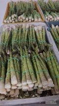 Sprzedam szparagę zieloną odmiana późna około 700 kg cena 13 zł za pęczek 500 g