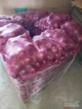 Cebula czerwona sprzedam. Ładna, gruba, opakowanie do uzgodnienia. Możliwość worków szytych.