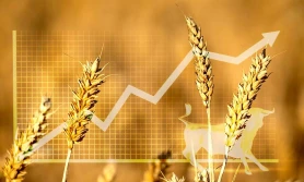 PIE: Zboża i nawozy długo nie będą tańsze