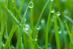 Kwiecień miał być ciepły, ale...