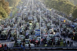 Holandia: protestujący rolnicy wygrali wybory regionalne