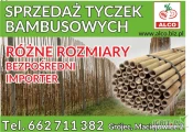 KUPIĘ NA PRZECIERY CZEMPION , JONAGOLDY , GOLDEN , GALA ORAZ JABŁKO PRZEMYSŁOWE . OFERUJEMY BAMBUSY , SŁUPY BETONOWE "PRIMA-BUD" ORAZ...