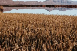 KE chce zatopić 400 tysięcy hektarów w Polsce