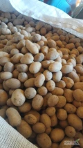 Sprzedam ziemniaki odmiana Corina, Belmonda, Queen Anna kaliber 35-45
