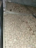 Sprzedam 10 ton ziemniaka odmiana Monte Carlo kaliber od +28 do +45 drugi rok po centrali cena do uzgodnienia 
