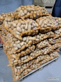 Sprzedam ziemniaki jadalne odmiany Quinn Ann.Ziemniaki pakowane są w 15kg worki.