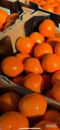 Witam sprzedam wieksze i mnieisze ilosci mandarynki oraz inych owocow zapraszam do kontaktu towar bardzo dobrej jakosci