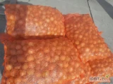 Sprzedam cebulę poniżej 5cm. pakowana w worek raszkowy lub big bag ok 3,5-4ton.