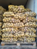 Sprzedam Ziemniaki odmiany Ignacy 
