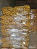 Sprzedam Ziemniaka żółtego Soraya 17 palet po 70 worków i 3 palety czerownego po 70 worków na palecie . Cena za żółtego 16 zł, ...