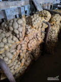 Sprzedam ziemniaki Ignacy worki 15 kg ilość 1500 worków  możliwość spaletowania , okolice Blaszek 