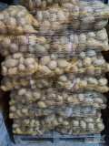 Sprzedam ziemniaki Tajfun w kalibrażu 50+ pakowane w worek 15kg na palecie. Ładny i zdrowy towar. 
