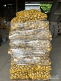 Sprzedam świeżo kopane ziemniaki, 