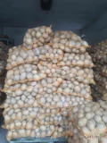 Sprzedam ziemniaki jadalne odmiany Gala, zdrowe o gładkiej i jasnej skórce . Pakowane w worki wiązane 15 kg w cenie 15.75 zł za...