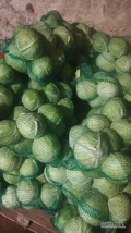 Sprzedam kapustę bialą storka waga od 1-3 kg 