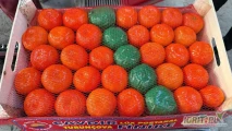 Sprzedam! Mandarynka Murcot. Kraj pochodzenia - Turcja. Dostępne ilości paletowe i całosamochodowe pod zamówienie.  