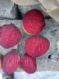 Witam kupie buraczka czerwonego Monti w luzie lub worek  Warta- Błaszki -Opatówek zainteresowanych zapraszam.