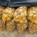 Sprzedam ziemniaki jadalne vinete i Jurek około 1000 worków