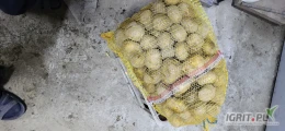 Witam mam do sprzedania ziemniaki odmiany Michalina pakowane w worki po 15kg.  Więcej informacji udzielę telefonicznie.