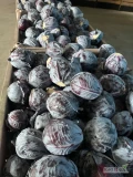 Posiadamy na sprzedaż kapustę czerwoną , oraz białą kaliber 1-3 kg - jakość marketowa