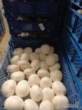 Sprzedam pieczarkę białą w różnych klasach opakowanie klatka 3kg lub inne do uzgodnienia  możliwy transport  zapraszamy do...