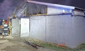 Pożar w kurniku. Drób uratowano!