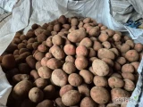 Sprzedam ziemniaki jadalne czerwone 45+ żółte w środku. Oraz ziemniak jadalne żółte 45+ 