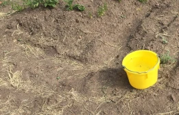 IOR: wystawiliśmy żółte naczynia