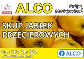 KUPIĘ NA PRZECIERY CZEMPION , JONAGOLDY , GOLDEN , GALA i INNE ORAZ JABŁKO PRZEMYSŁOWE . OFERUJEMY BAMBUSY , SŁUPY BETONOWE "PRIMA-BUD"...