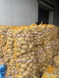 Sprzedam ziemniaki jadalne, koło Sieradza 