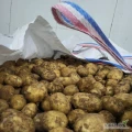 Sprzedam młode ziemniaki importowane z Włoch, kaliber 40+ 