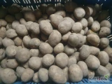 Sprzedam ziemniaki soraya w kalibrze sadzeniaka zostalo mi z nasadzenia zdrowa. 