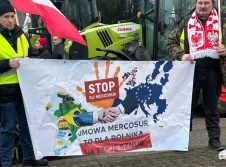 Wstrzymana ratyfikacja umowy UE-Mercosur? PE odesłał umowę do TSUE