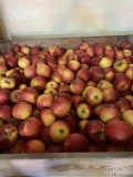Sprzedam jabłka Rubin za wagę skrzyni, okolice Sandomierza 