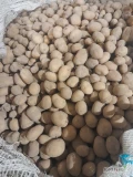 Sprzedam ziemniaki odmiana denar kaliber 30-50 ilość ok 10 ton 