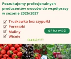 Poszukujemy profesjonalnych producentów owoców do współpracy – sezon 2026/2027