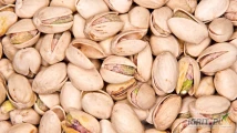 Hurtowa sprzedaż prażonych pistacji