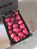 Witam sprzedam jabłko Prince nadwyżkę  w kartonie 13kg netto 8 euro palet 